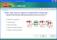 PDF Page Merger Splitter Cutter Pro screenshot